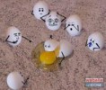 /album/con-ganas-de-reirte-xd/images-5-jpg/